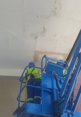 Specialist-Surveys-3 Specialist-Surveys-3